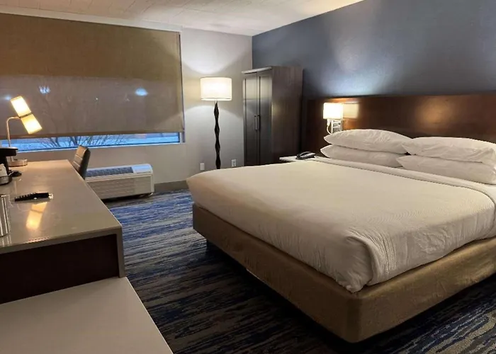 Skyline Hotel Detroit Airport, Surestay Collection By BW